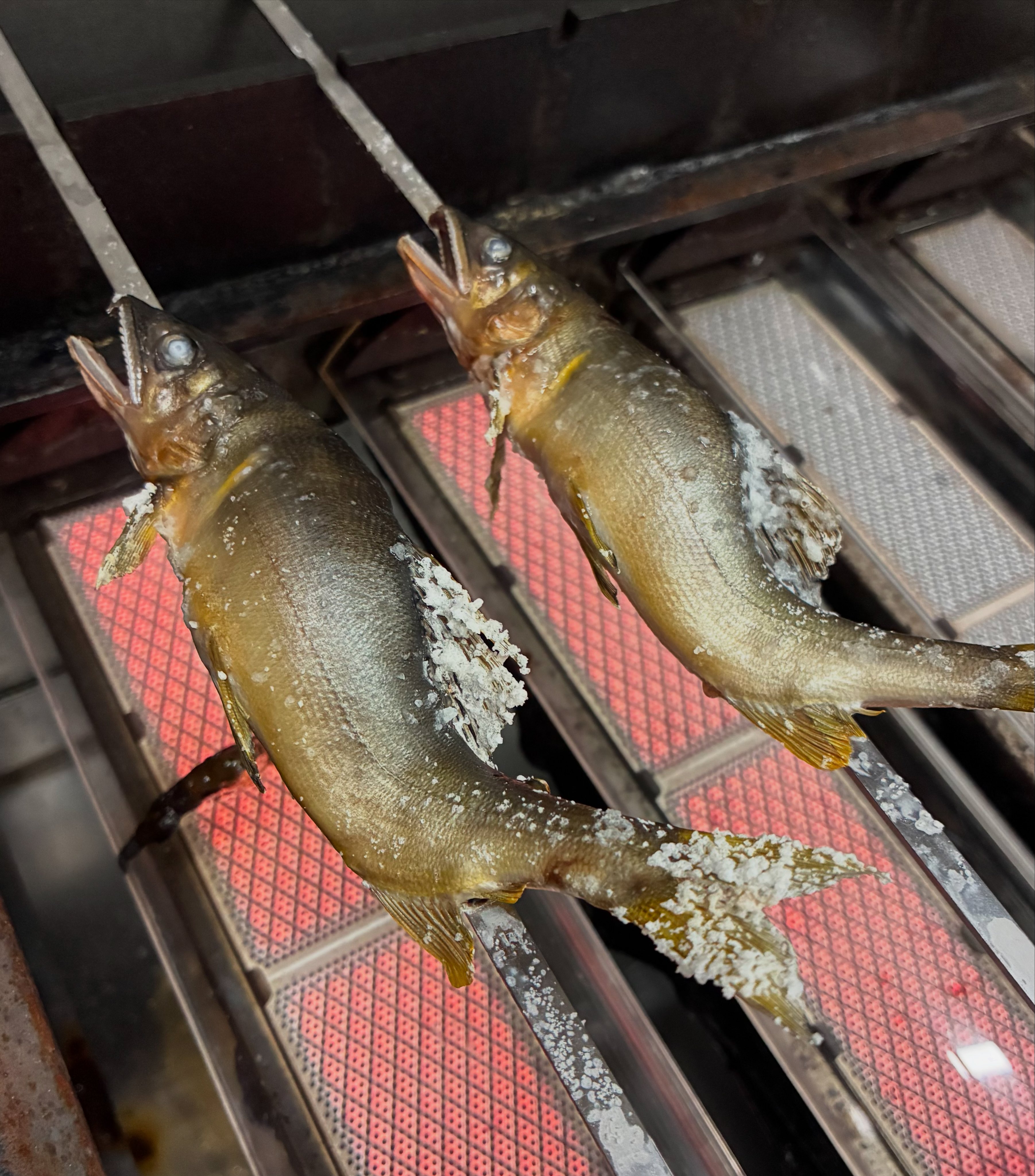 E5EB8964-E6BA-4F71-B976-6950D9E406F6.jpeg